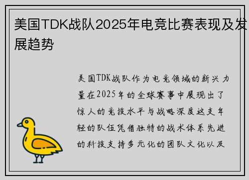 美国TDK战队2025年电竞比赛表现及发展趋势