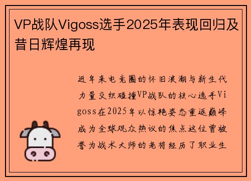 VP战队Vigoss选手2025年表现回归及昔日辉煌再现